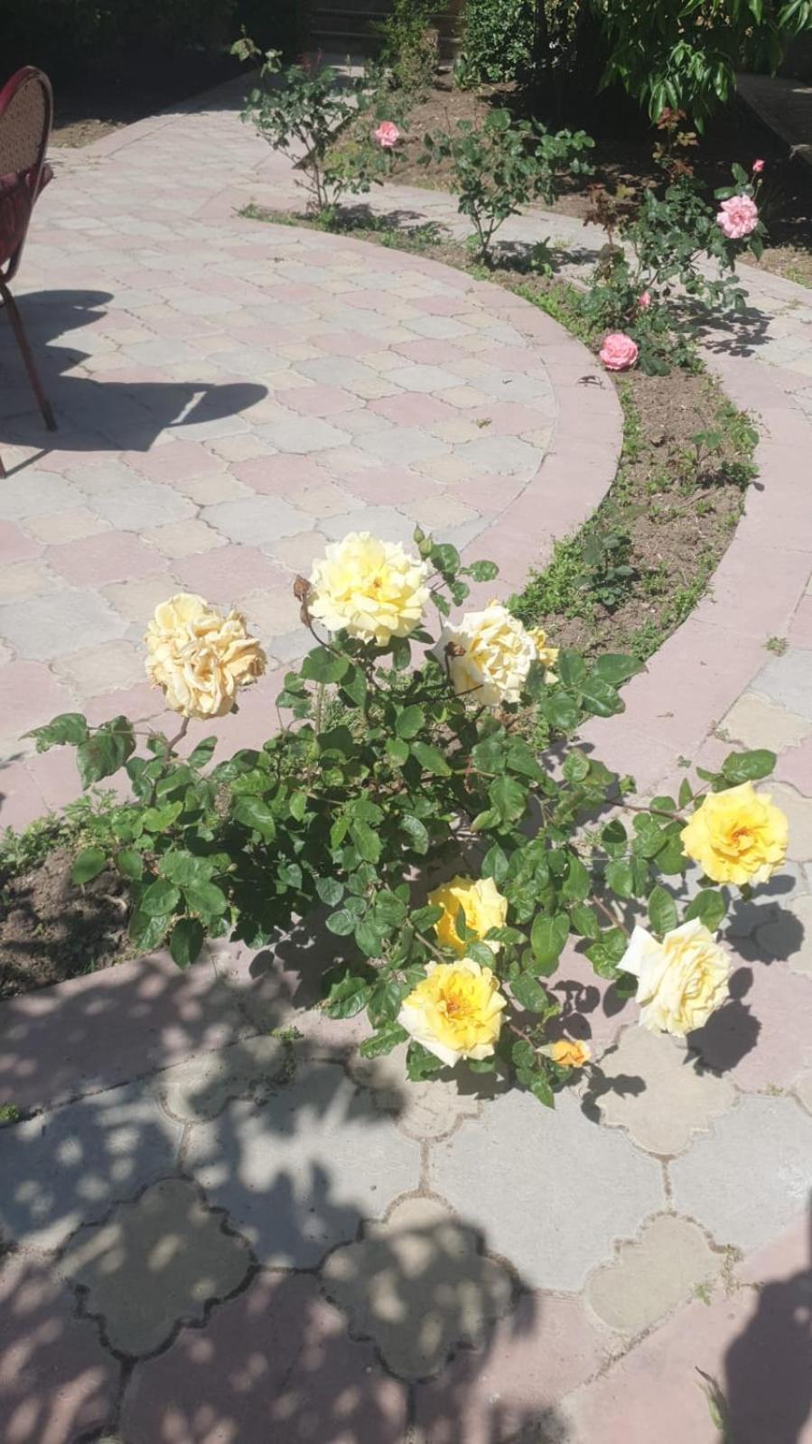 Ekm Hotel Baku Bagian luar foto
